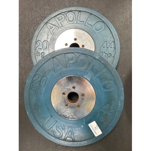 42 - X2 APOLLO USA 20KG WEIGHT PLATES, APPROX 45CM (DIA)