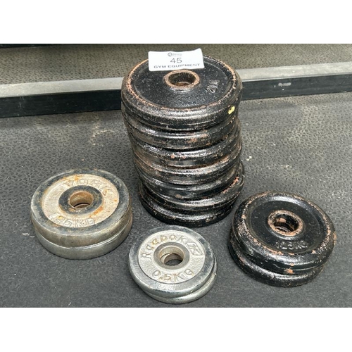 45 - A QUANTITY OF CAST IRON AND STEEL WEIGHT PLATES INCLUDING X7 2KG, X2 1.25KG, X2 YORK 1.25KG AND X2 R... 