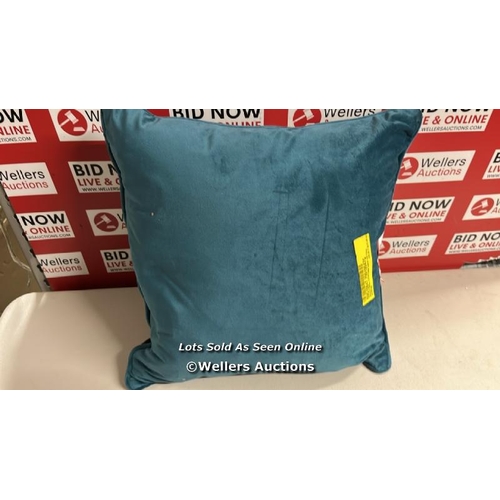 8370 - IVY BRONX AMBANIA FEATHERS ABSTRACT SCATTER CUSHION WITH FILLING / RRP: 24.99 / C2