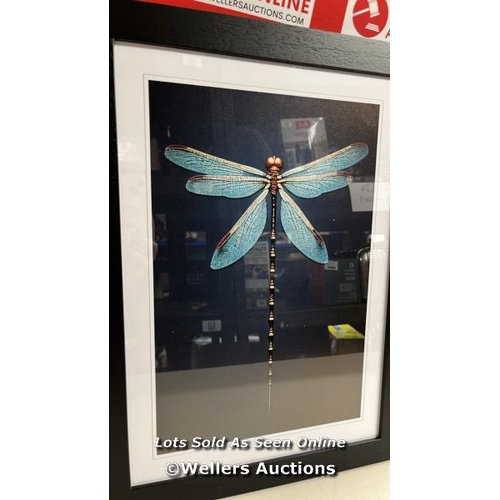 8408 - BRAMBLY COTTAGE DAINTY DRAGONFLY / FORMAT: BLACK, SIZE: 46CM H X 34CM W X 2CM D / RRP: 32.99 / C6