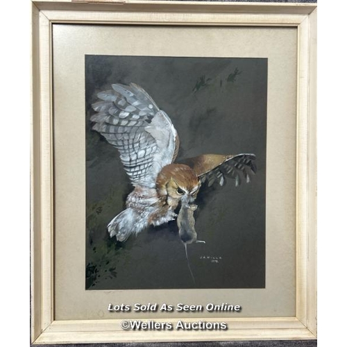 9 - Acrylic painting of an Owl with its prey, signed J.A. Mills 1978, 44 x 51cm incl. frame / AN57