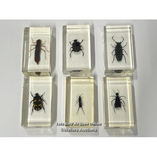 101 - Six insects in resin / AN17