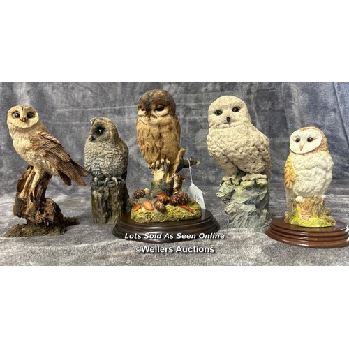 95 - A collection of five Owl figurines including Arden Sculptures Snowy Owl by Christopher Holt, Country... 