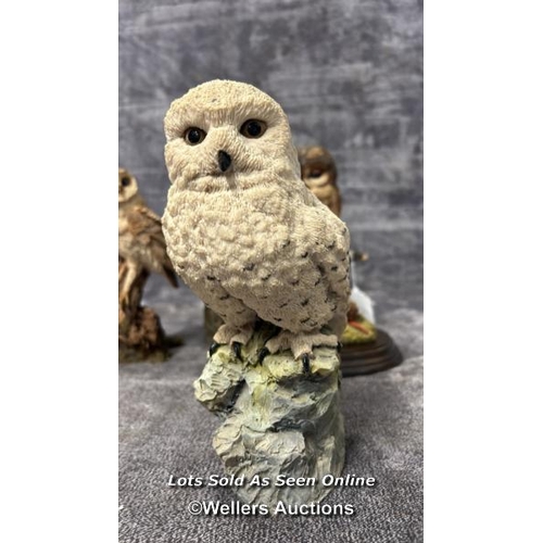 95 - A collection of five Owl figurines including Arden Sculptures Snowy Owl by Christopher Holt, Country... 