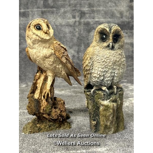 95 - A collection of five Owl figurines including Arden Sculptures Snowy Owl by Christopher Holt, Country... 