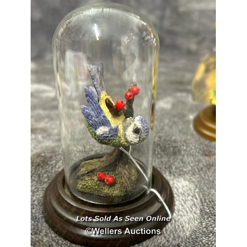 98 - Five bird figurines including Country Artists Bluetit with glass dome, Dipper, Crested Tit, Robin an... 