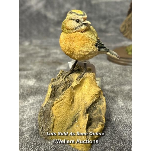 98 - Five bird figurines including Country Artists Bluetit with glass dome, Dipper, Crested Tit, Robin an... 