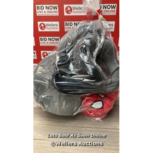 4585 - BAG OF TRAVEL PILLOW