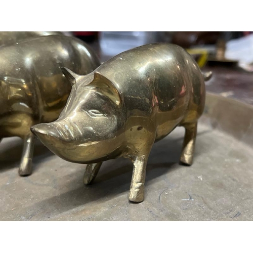 24 - A family of six brass pigs and charger, largest 20cm long, charger 35cm in diameter