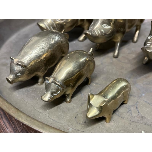 24 - A family of six brass pigs and charger, largest 20cm long, charger 35cm in diameter