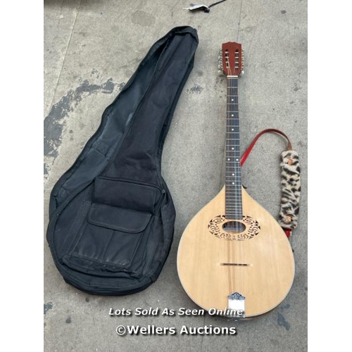 3168 - MANDOLIN IN CASE