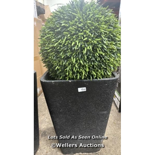 4046 - ROSEMARY TOPIARY BALL / SIGNS OF USE/ CRACKED  / W3