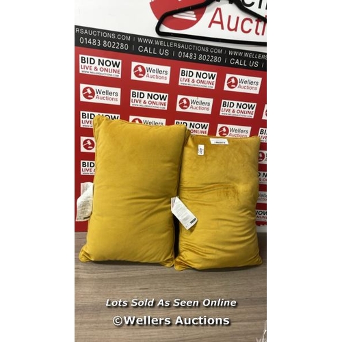 4057 - VELVET OBLONG CUSHION SET / MINIMAL SIGNS OF USE / E61