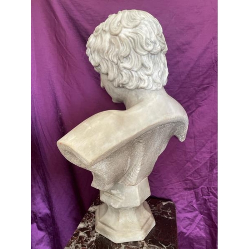 523 - A 19th century marble bust of antinous, 55cm x 23cm (base) x 73.5cm  / All lots are located at The B... 