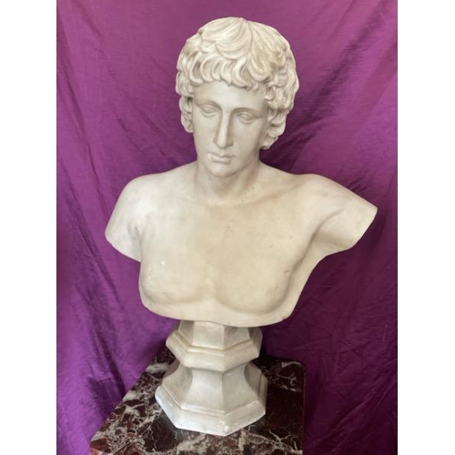 523 - A 19th century marble bust of antinous, 55cm x 23cm (base) x 73.5cm  / All lots are located at The B... 