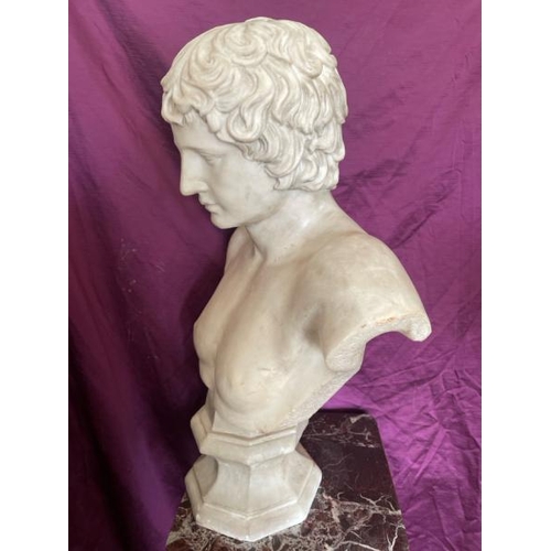 523 - A 19th century marble bust of antinous, 55cm x 23cm (base) x 73.5cm  / All lots are located at The B... 