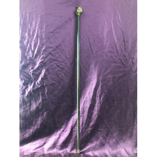 88 - Walking cane with brass cockatoo ferrule, 82cm (l)  / All lots are located at The Barn, Hampstead Fa... 