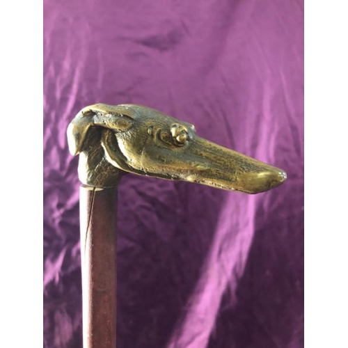 90 - Walking cane with brass greyhound ferrule, 87cm (l), cane needs repair  / All lots are located at Th... 