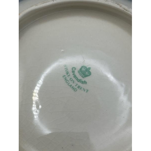 219 - Cavendish wash bowl with similar patterned water jug  / All lots are located at Gower Reclamation, U... 