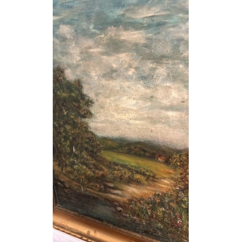 61 - A framed oil on board of a countryside scene, unsigned, 53cm (h) x 42cm (w)  / All lots are located ... 