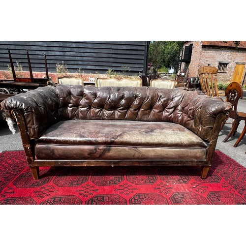 511 - Early 19th century horse-hair filled tanned leather solid buttoned Chesterfield sofa, in work condit... 