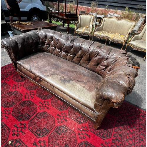 511 - Early 19th century horse-hair filled tanned leather solid buttoned Chesterfield sofa, in work condit... 