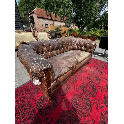 511 - Early 19th century horse-hair filled tanned leather solid buttoned Chesterfield sofa, in work condit... 