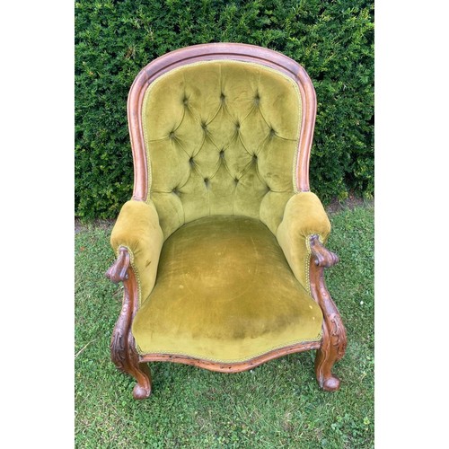 710 - A 19th century buttoned spoon backed library chair, with walnut frame and deep green velvet fabric, ... 