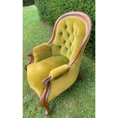 710 - A 19th century buttoned spoon backed library chair, with walnut frame and deep green velvet fabric, ... 