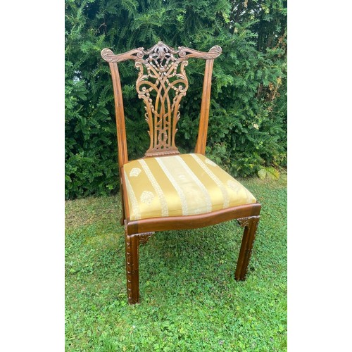 713 - A set of six 20th century Chippendale style ribbon backed dining chairs, with gold upholstered drop-... 