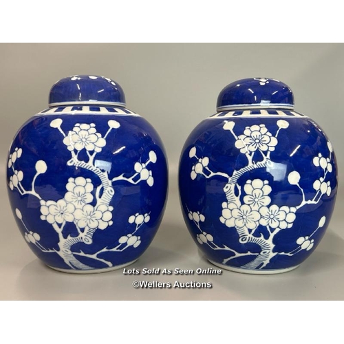 8 - A pair of Chinese blue & white prunas ginger jars with lids, both 20cm high, in good cosmetic condit... 