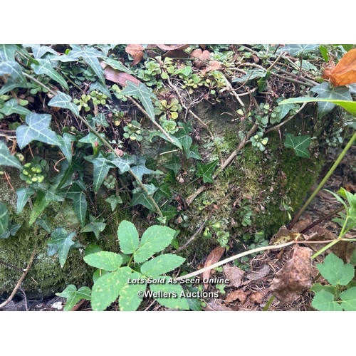 17 - Stone planter trough with bonsai, 29cm (h) x 134cm (w) x 45cm (d), winning bidder will need to bring... 