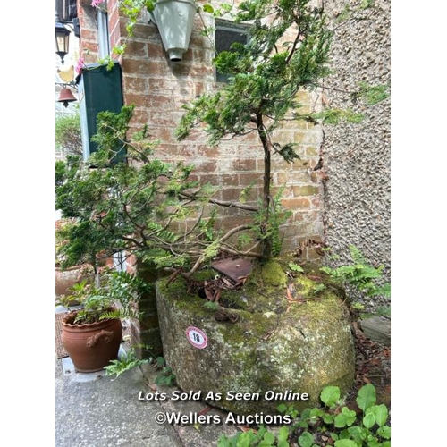 18 - York stone planter with 35 year old bonsai, tough 41cm (h) x 80cm (w) x 65cm (d), height with tree 1... 