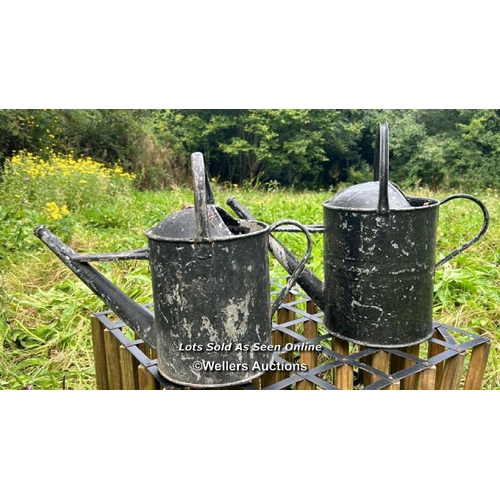 207 - Two painted galvanised watering cans / Please bring equipment and labour to assist with removal of a... 