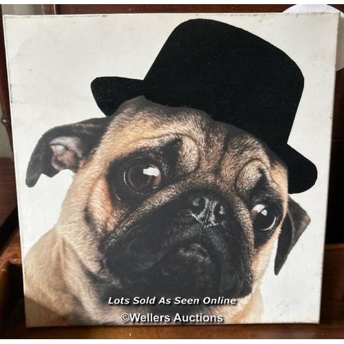 420 - A distinguished pug portrait on canvas, 40cm (h) x 40cm (w) / Please bring equipment and labour to a... 