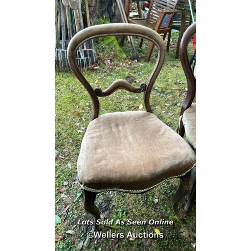 444 - A pair of Victorian mahogany bloomback dining chairs with upholstered seat, 90cm (h) x 46cm (w) x 40... 