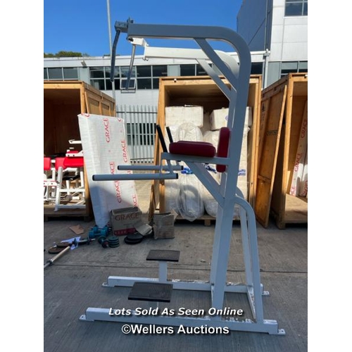 12 - Star Trac F-617 chin up, dip and leg raise station, 232cm h x 63cm w x 164cm l / JGS194