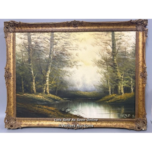 169 - Oil on canvas landscape signed EBIP 80, 67x48cm / AN51