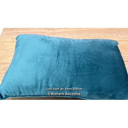 2187 - VELVET OBLONG CUSHION SET / ONLY ONE  / MINIMAL SIGNS OF USE / E23