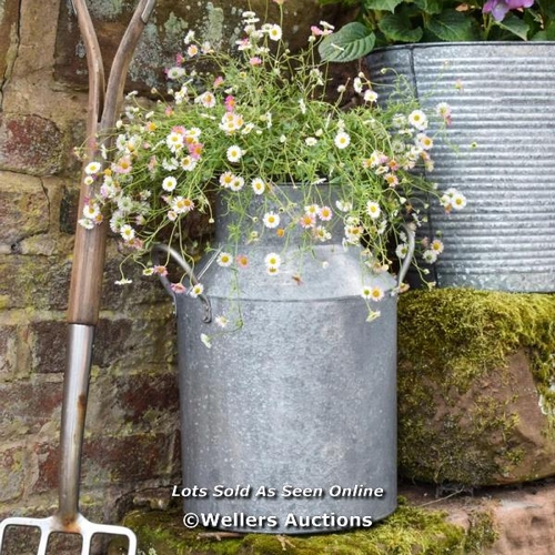 9059 - RRP: 27.99 - BRAMBLY COTTAGE GALVANISED MILK CHURN PLANT POT  / 1 BOX / COLLECTION FROM DARTFORD