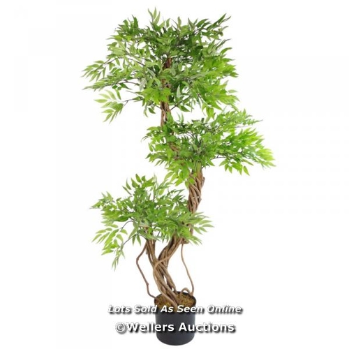 3022 - RRP:  94.99 - THE SEASONAL AISLE FICUS TREE / BASE COLOUR: BLACK / COMES IN ONE BOX/PACKAGE