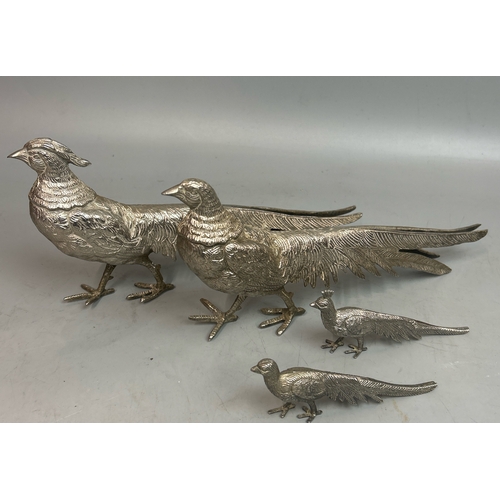 83 - Four vintage white metal Pheasant models, largest 14cm high, 29cm long / T35