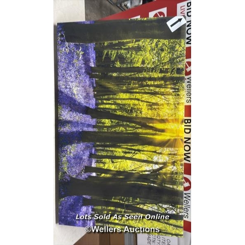 9108 - RRP: 48.99 - ALPEN HOME PURPLE FLOWER GREENLAND - WRAPPED CANVAS PHOTOGRAPH / SIZE: 50.8CM H X 81.3C... 