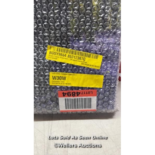 9108 - RRP: 48.99 - ALPEN HOME PURPLE FLOWER GREENLAND - WRAPPED CANVAS PHOTOGRAPH / SIZE: 50.8CM H X 81.3C... 