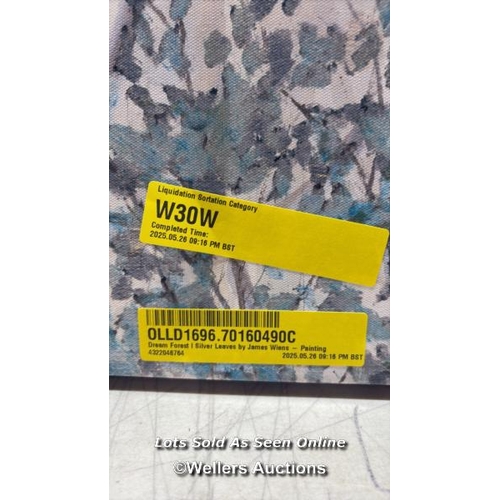 9109 - RRP: 34.99 - FERNLEAF DREAM FOREST I SILVER LEAVES BY JAMES WIENS - WRAPPED CANVAS PAINTING PRINT / ... 