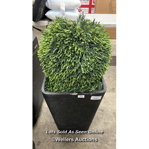 Lot 4038      