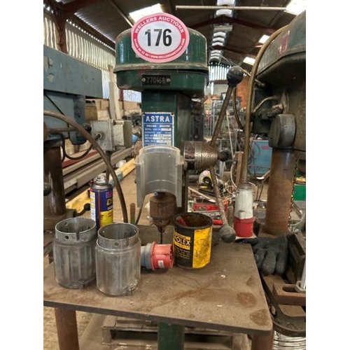 Lot 176       
