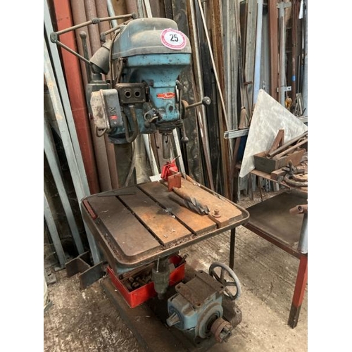 Lot 25        