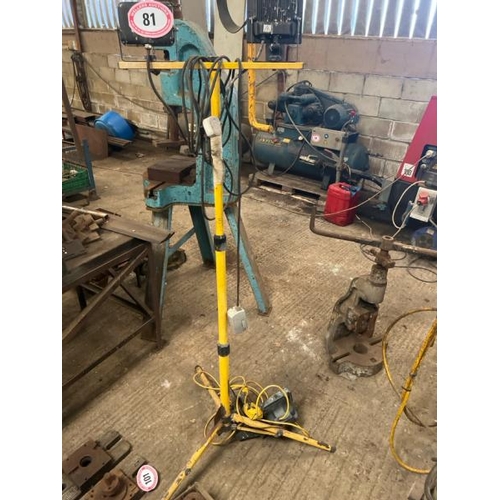 81 - WORKSHOP AND SITE LIGHTS