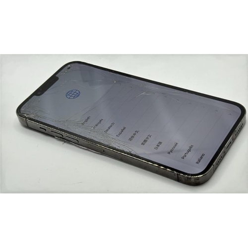 9065 - APPLE IPHONE 13 PRO MAX / A2643 / 256GB / IMEI: 351339413979417 / I-CLOUD UNLOCKED